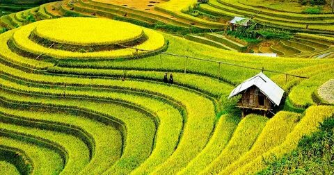 Hotspot Matrix và La Vie ra mắt cộng đồng “Yên một chút” - đóng góp thêm “Chút yên vì_ứng dụng chỉnh sửa video miễn phí